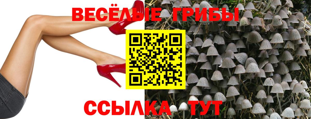 Вязьма  Псилоцибиновые грибы Magic Shrooms  Вход с VPN 
