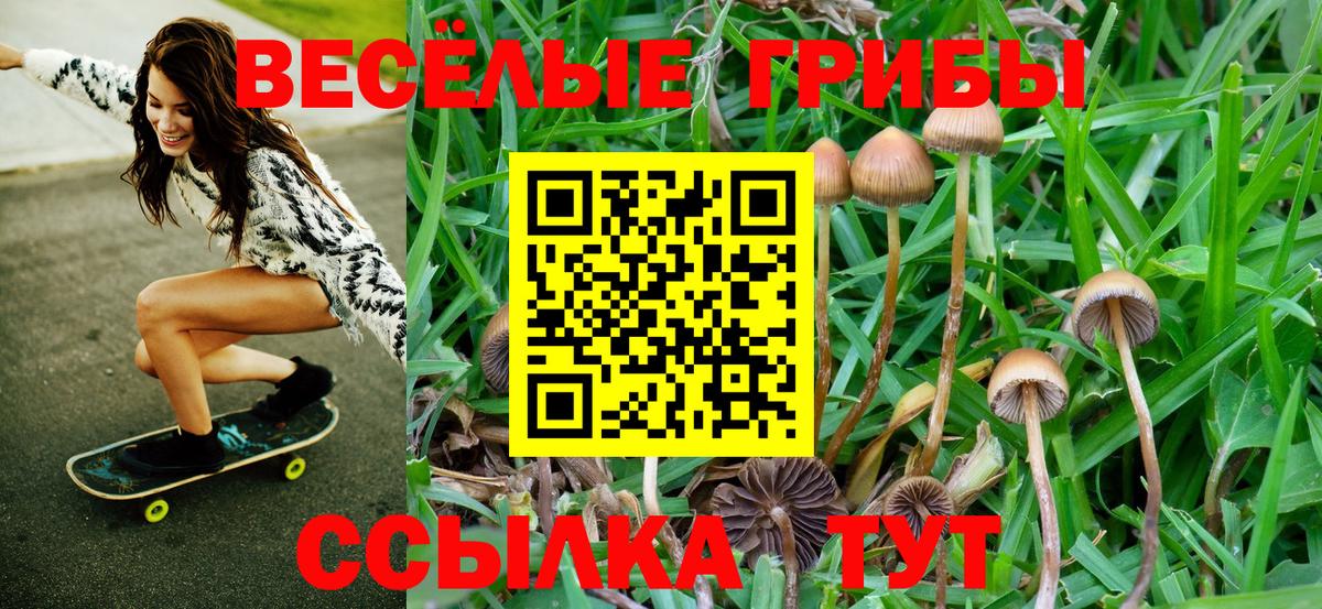 Галлюциногенные грибы мухоморы Вязьма